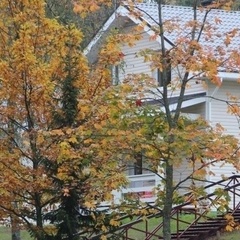 База отдыха Аврора, Выборгский район, Ленинградская область