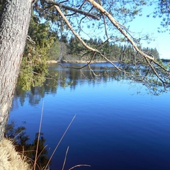 Гостевой дом Шуясалми, Суоярвский район, Республика Карелия