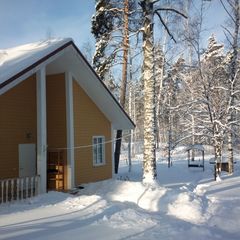Коттедж Корница, Задонский район, Липецкая область
