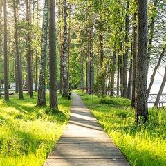 База отдыха Аврора, Выборгский район, Ленинградская область