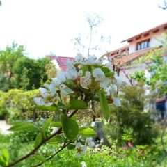 Гостиничный комплекс Усадьба, Феодосия, Крым