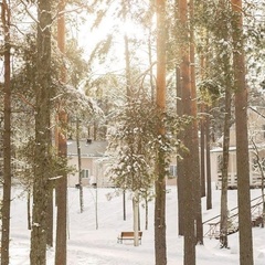 База отдыха Аврора, Выборгский район, Ленинградская область