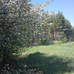 Коттедж Корница, Задонский район, Липецкая область