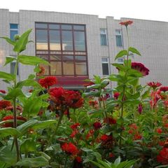 База отдыха Гренада, Республика Коми