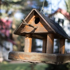 Дом отдыха Екатерининская Слобода, Осташковский район, Тверская область