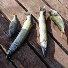 Дом отдыха Екатерининская Слобода, Осташковский район, Тверская область