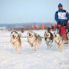 Загородный клуб Белая Цапля, Боровский район, Калужская область