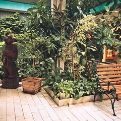 Пансионат Дружба, Ногинский район, Московская область