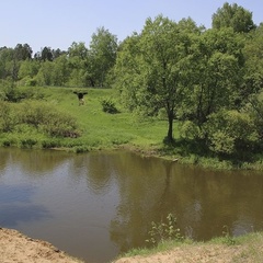 Пансионат Дружба, Ногинский район, Московская область