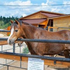 Центр активного отдыха Караван, Жуковский район, Калужская область