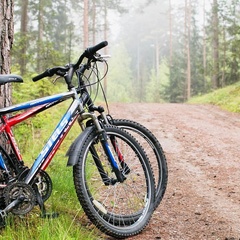 Клуб De La Rey, Выборгский район, Ленинградская область