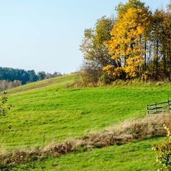 Загородный отель Усадьба по следам Онегина, Пушкиногорский район, Псковская область