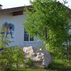 База отдыха Спас Каменка, Дмитровский район, Московская область