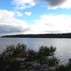 Загородный отель Тирс, Кимрский район, Тверская область