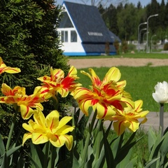 Парк-отель Торбеево озеро, Сергиево-Посадский район, Московская область