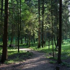 Усадьба Веретьево, Талдомский район, Московская область