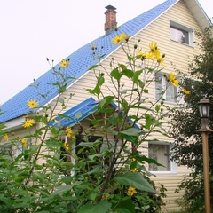 Гостевой дом Онежская Горка, Кондопожский район, Республика Карелия