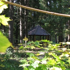Пансионат Солнечная поляна, Одинцовский район, Московская область