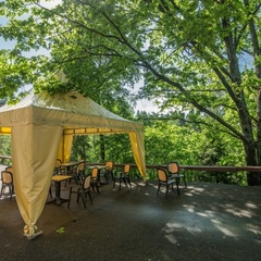 Пансионат Солнечная поляна, Одинцовский район, Московская область