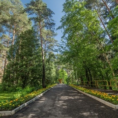 Пансионат Солнечная поляна, Одинцовский район, Московская область