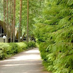 Горнолыжный курорт Снежный, Приозерский район, Ленинградская область