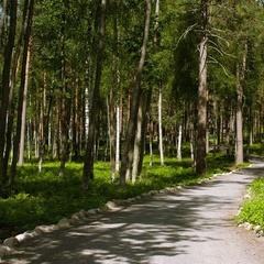 База отдыха Громово Парк, Приозерский район, Ленинградская область