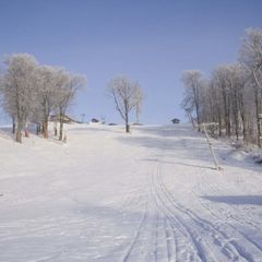 Центр активного отдыха Горнолыжный клуб Леонида Тягачёва, Дмитровский район, Московская область