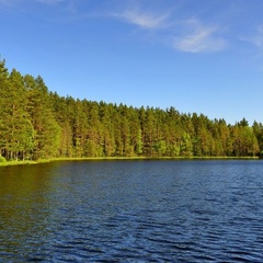 База отдыха Громово Парк, Приозерский район, Ленинградская область