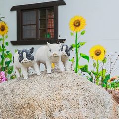 База отдыха Родная усадьба, Приозерский район, Ленинградская область