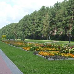 Отель Зеленый мыс, район Мытищинский, Московская область