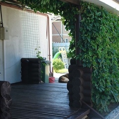 Гостевой дом Слобода на Клязьме, Москва, Московская область