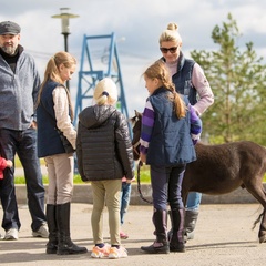 Загородный отель Петрухино-клуб, Серпуховский район, Московская область