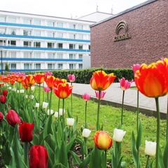 Оздоровительный комплекс Клязьма, район Мытищинский, Московская область