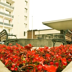 Оздоровительный комплекс Клязьма, район Мытищинский, Московская область