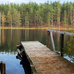 База отдыха Шишки на Лампушке, Приозерский район, Ленинградская область