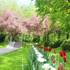 Оздоровительный комплекс Клязьма, район Мытищинский, Московская область