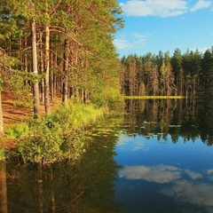 База отдыха Шишки на Лампушке, Приозерский район, Ленинградская область