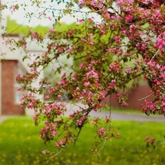 Оздоровительный комплекс Клязьма, район Мытищинский, Московская область