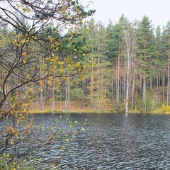 База отдыха Шишки на Лампушке, Приозерский район, Ленинградская область