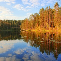 База отдыха Шишки на Лампушке, Приозерский район, Ленинградская область