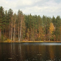 База отдыха Шишки на Лампушке, Приозерский район, Ленинградская область