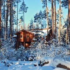 База отдыха Шишки на Лампушке, Приозерский район, Ленинградская область