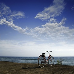 Вилла Карнавал, Медвежьегорский район, Республика Карелия