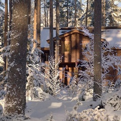 База отдыха Шишки на Лампушке, Приозерский район, Ленинградская область