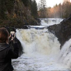 База отдыха Тихий берег, Кондопожский район, Республика Карелия