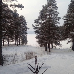 Вилла Карнавал, Медвежьегорский район, Республика Карелия