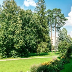 Пансионат Лесные дали, Одинцовский район, Московская область