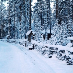 База отдыха Шишки на Лампушке, Приозерский район, Ленинградская область