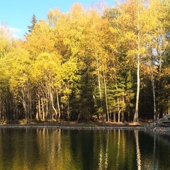 Загородный отель Les Art Resort, Рузский район, Московская область