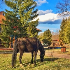 Загородный отель Искра, Одинцовский район, Московская область